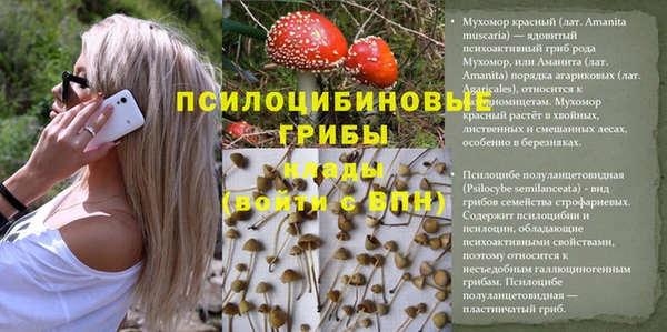 МДМА Алексеевка