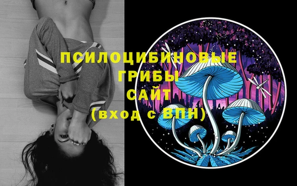 винт Алексин