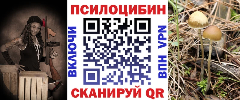 Псилоцибиновые грибы прущие грибы  как найти наркотики  Белоярский 